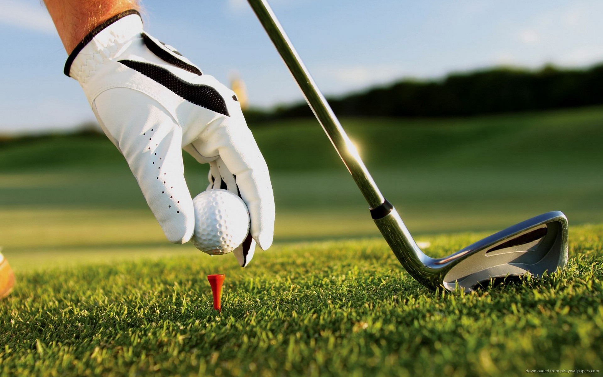 Campos de golfe das Bahamas - perfeitos para jogadores de golfe iniciantes  e profissionais